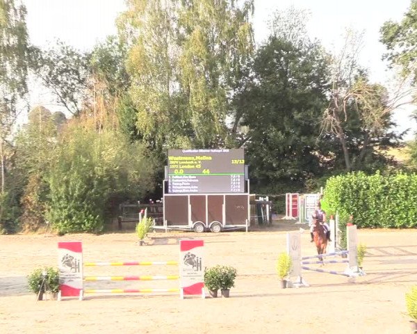 Reitturnier Datteln 2018