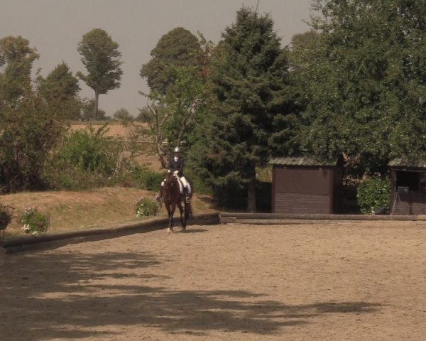 Reitturnier Datteln 2018