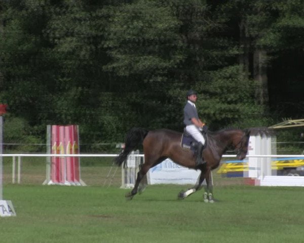 Reitturnier Wulkow 2018