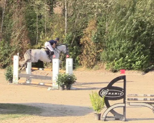Reitturnier Datteln 2018
