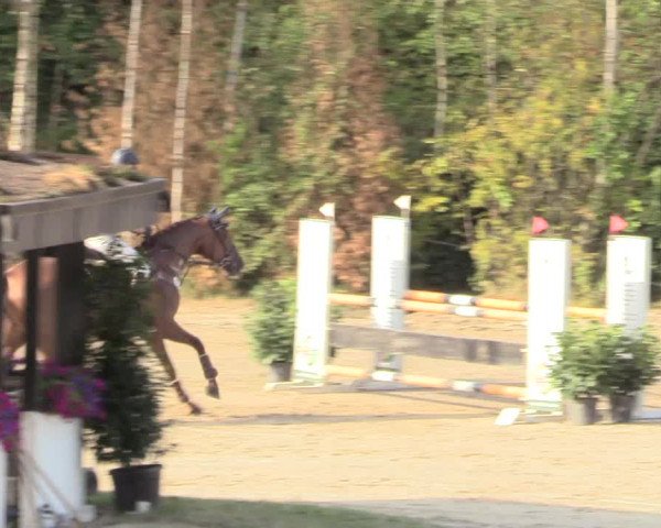 Reitturnier Datteln 2018
