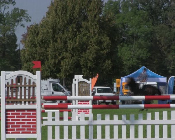 Reitturnier Wulkow 2018