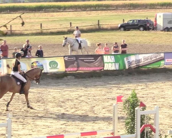 Reitturnier Datteln 2018