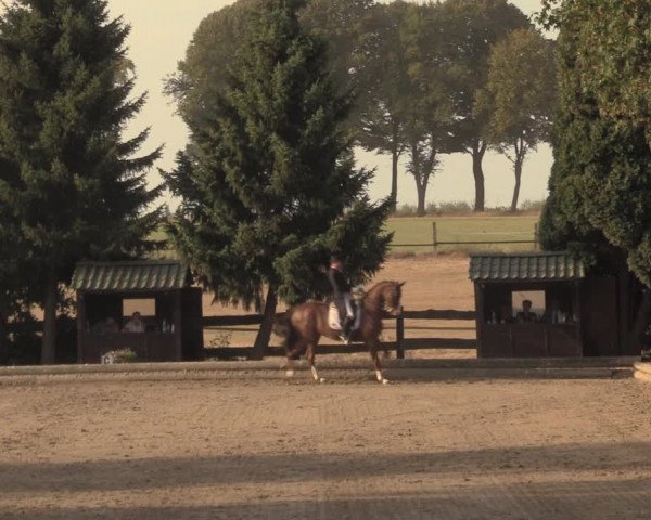 Reitturnier Datteln 2018