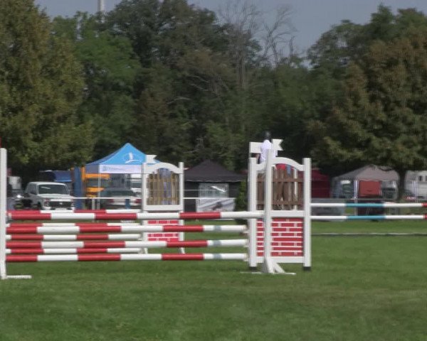 Reitturnier Wulkow 2018