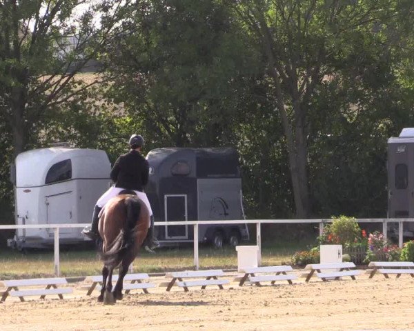 Reitturnier Menden 2018