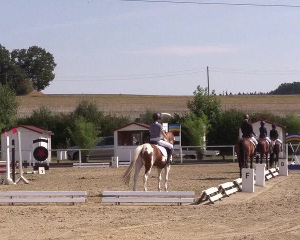 Reitturnier Menden 2018