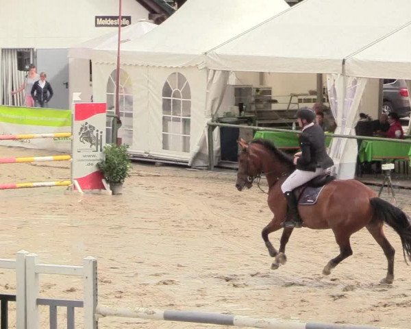 Reitturnier Datteln 2018
