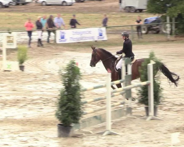 Reitturnier Datteln 2018