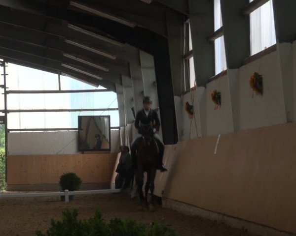 Reitturnier Datteln 2018