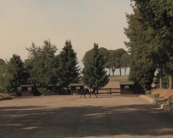 Reitturnier Datteln 2018