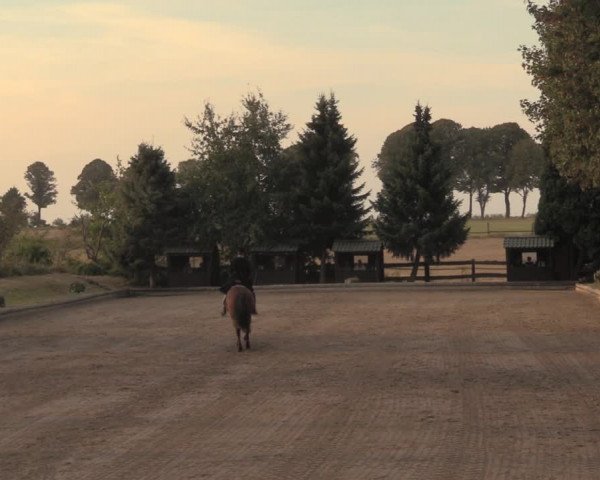 Reitturnier Datteln 2018