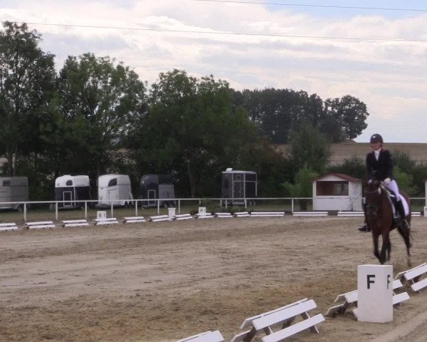 Reitturnier Menden 2018