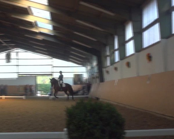 Reitturnier Datteln 2018
