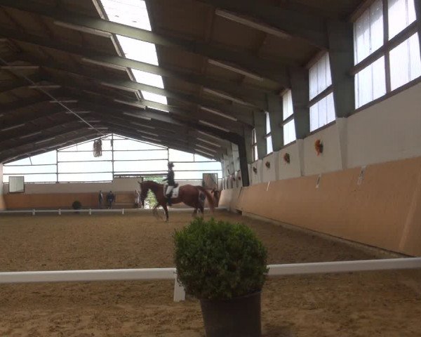 Reitturnier Datteln 2018