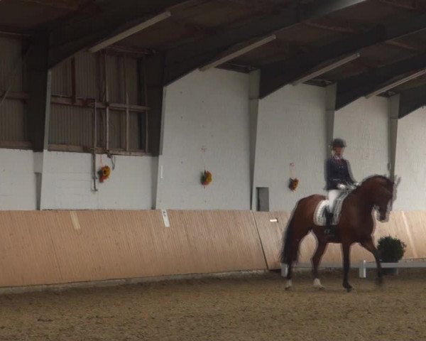 Reitturnier Datteln 2018