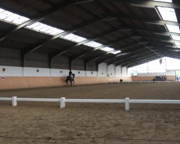 Reitturnier Datteln 2018