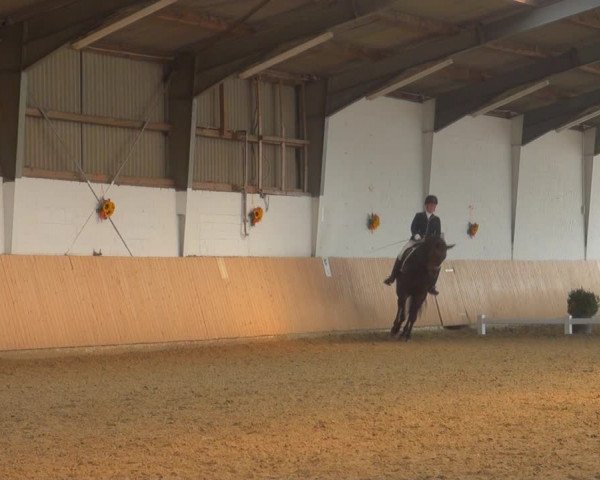 Reitturnier Datteln 2018