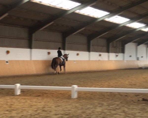 Reitturnier Datteln 2018