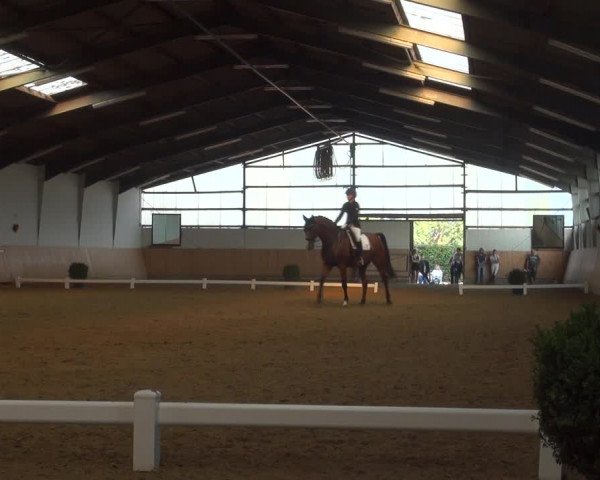 Reitturnier Datteln 2018