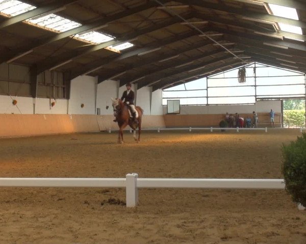 Reitturnier Datteln 2018