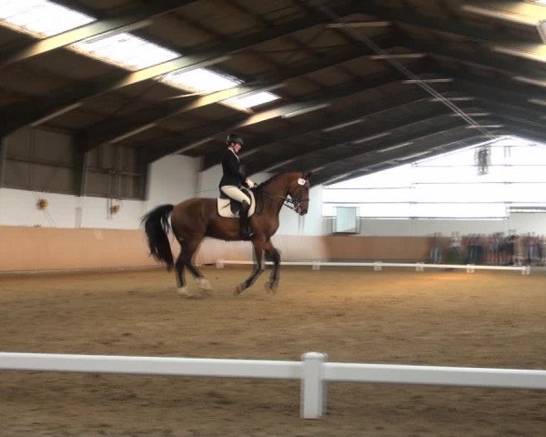 Reitturnier Datteln 2018
