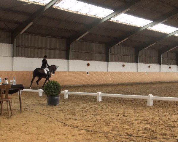 Reitturnier Datteln 2018