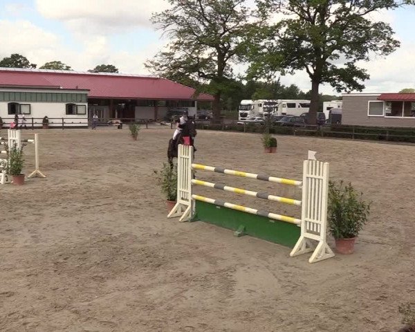 Reitturnier Hamburg-Klein Offenseth/Hell-Stallion-Stud 2018