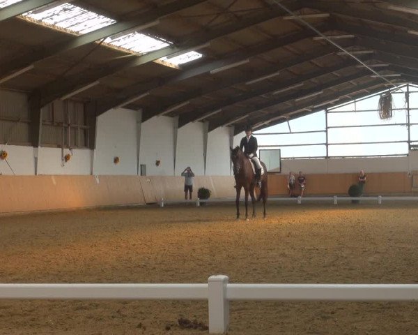 Reitturnier Datteln 2018