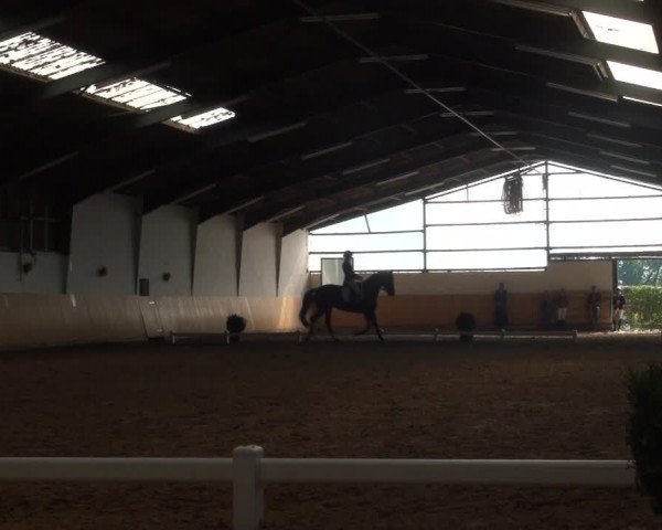 Reitturnier Datteln 2018