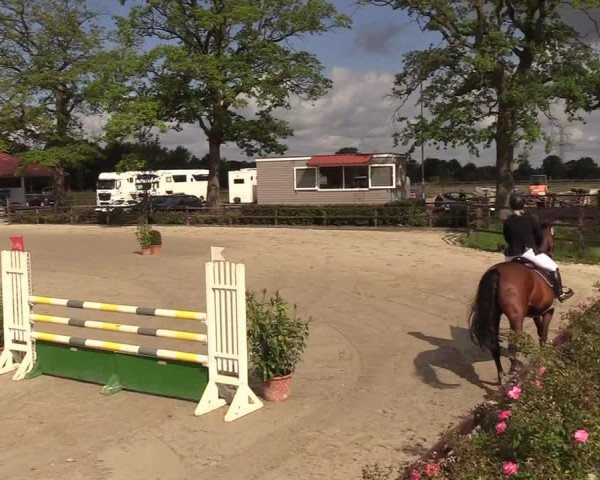 Reitturnier Hamburg-Klein Offenseth/Hell-Stallion-Stud 2018