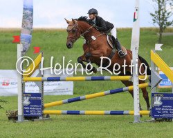 Springpferd Con Pigalle (Oldenburger Springpferd, 2007, von Contender)