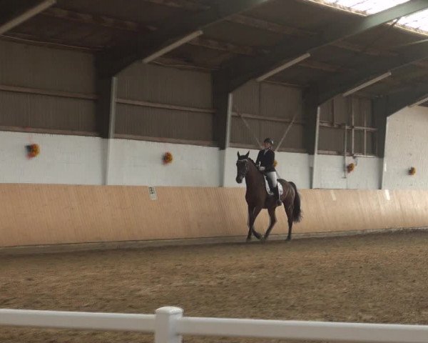 Reitturnier Datteln 2018