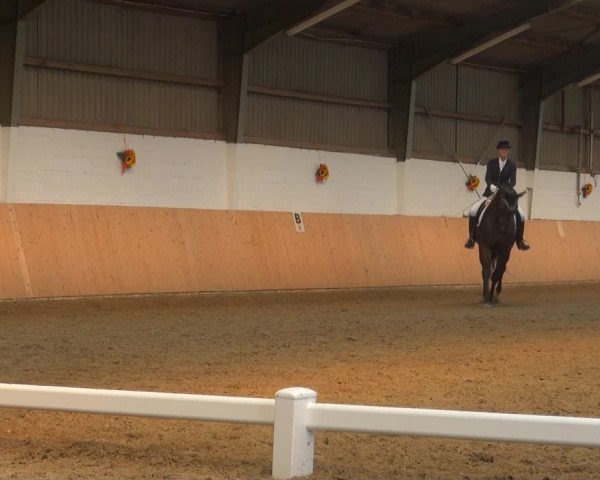Reitturnier Datteln 2018