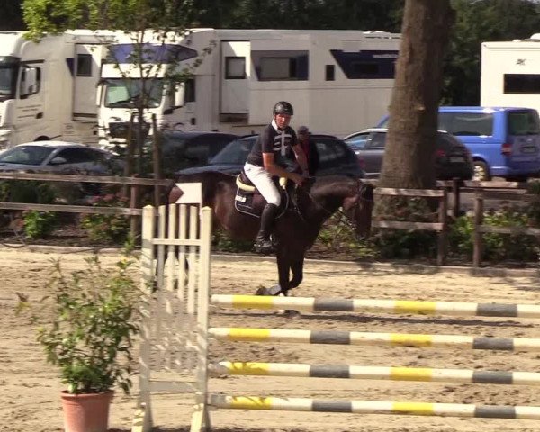 Reitturnier Hamburg-Klein Offenseth/Hell-Stallion-Stud 2018