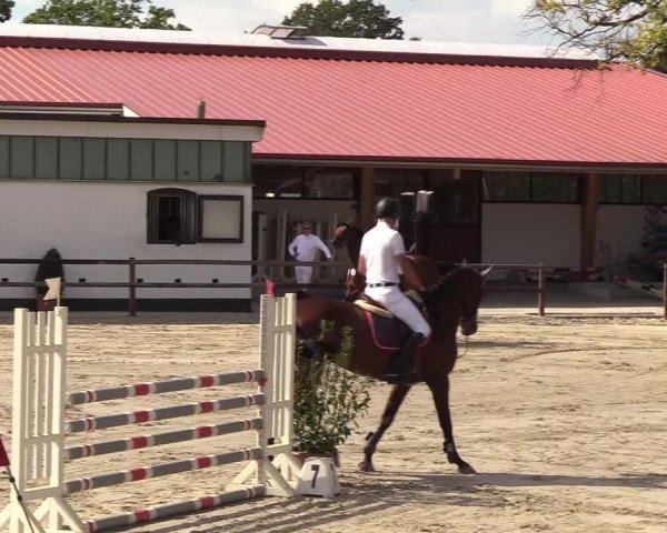 Reitturnier Hamburg-Klein Offenseth/Hell-Stallion-Stud 2018