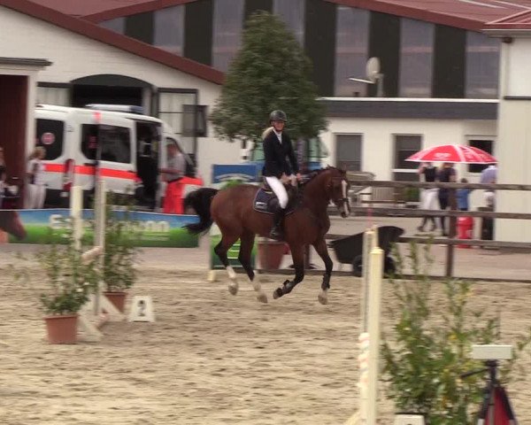 Reitturnier Hamburg-Klein Offenseth/Hell-Stallion-Stud 2018