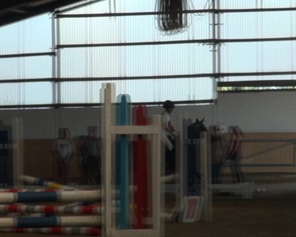 Reitturnier Datteln 2018