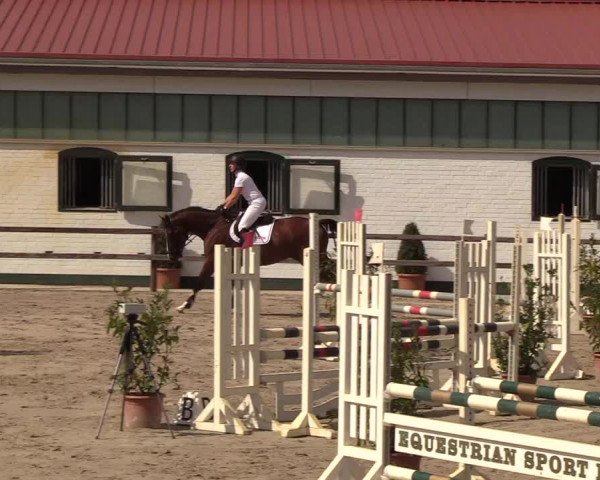 Reitturnier Hamburg-Klein Offenseth/Hell-Stallion-Stud 2018