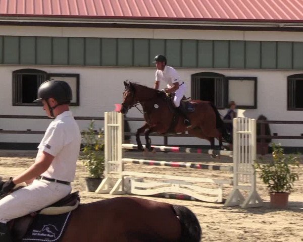 Reitturnier Hamburg-Klein Offenseth/Hell-Stallion-Stud 2018