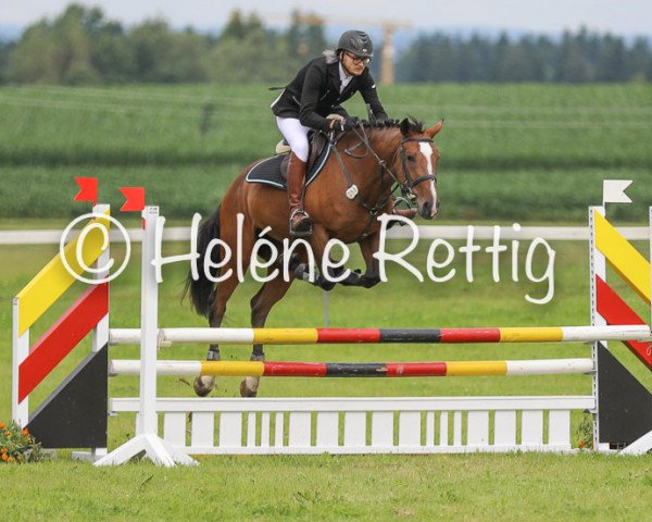 jumper Indira Gandhi 3 (Württemberger, 2013, from fischerIncantas)