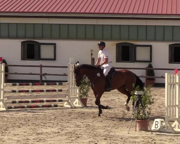 Reitturnier Hamburg-Klein Offenseth/Hell-Stallion-Stud 2018