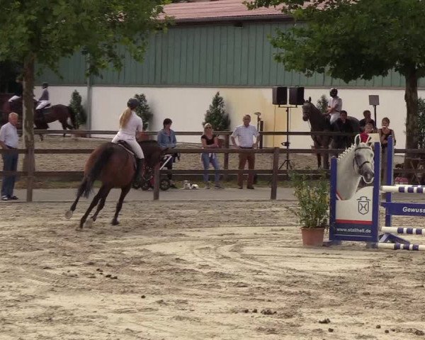 Reitturnier Hamburg-Klein Offenseth/Hell-Stallion-Stud 2018