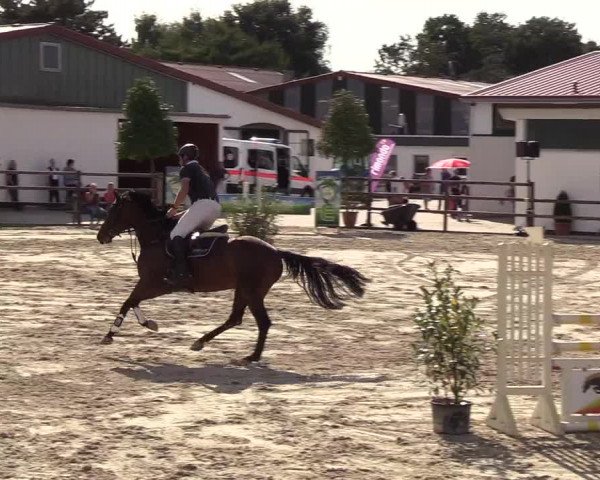 Reitturnier Hamburg-Klein Offenseth/Hell-Stallion-Stud 2018