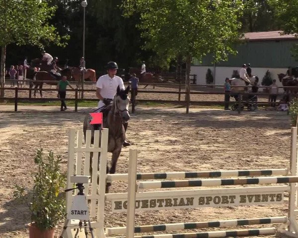 Reitturnier Hamburg-Klein Offenseth/Hell-Stallion-Stud 2018