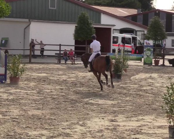 Reitturnier Hamburg-Klein Offenseth/Hell-Stallion-Stud 2018