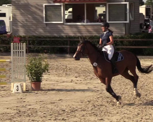 Reitturnier Hamburg-Klein Offenseth/Hell-Stallion-Stud 2018