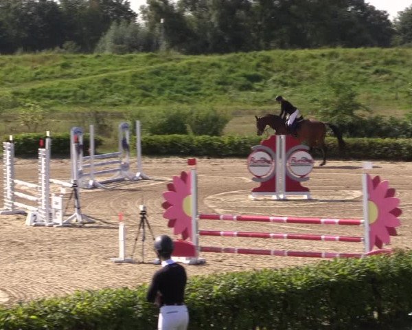 Spring Late Entry Gut Hohenkamp / Dorsten 2021
