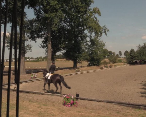 Reitturnier Datteln 2018