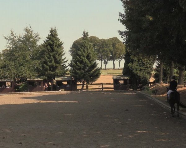 Reitturnier Datteln 2018